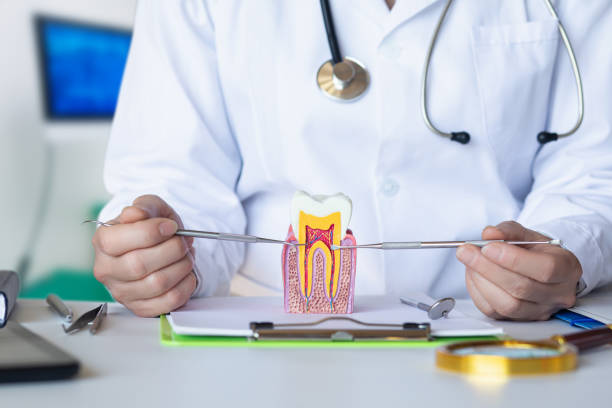 Best Pediatric Emergency Dentist in Holcom, KS